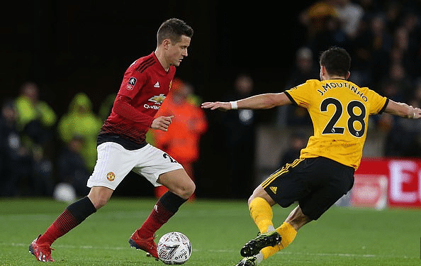 塞鸟的加入 塞鸟的加入